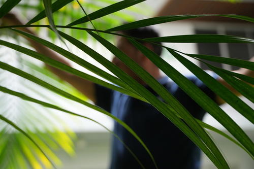 Anselmo contó su experiencia luego de ser capturado en una redada y enviado a la cárcel de Alligator Alcatraz. (Foto: Wilder López/Soy502)
