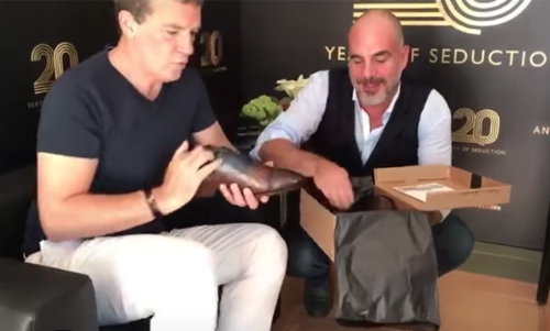 perera zapatos soy502