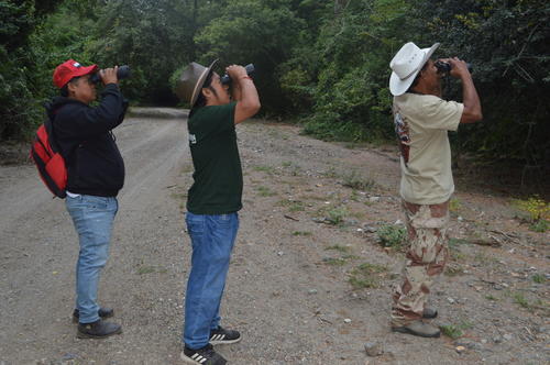 El avistamiento de aves busca dar a conocer la importancia del Bosque Seco de la reserva. (Foto: Juan Carlos Aquino/Colaborador)
