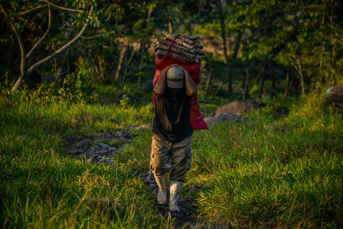Los agricultores palmarenses usan sus terrenos para diferentes cultivos. (Foto: Ángel Revolorio/Colaborador)