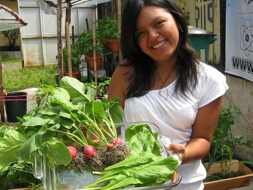 Parte de lo que las familias pueden cosechar son vegetales y hortalizas. (Foto: Rudy López/Colaborador)