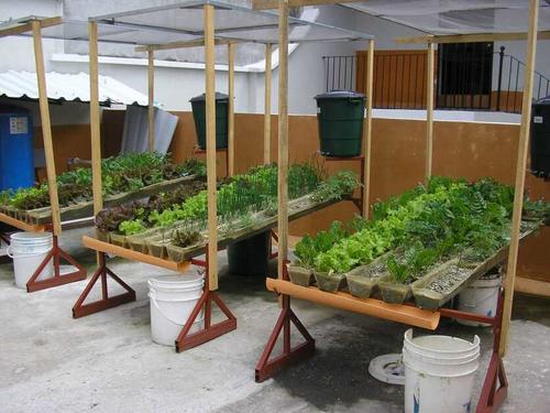 Se pueden obtener alimentos sin importar que el clima sea frío o cálido. (Foto: Rudy López/Colaborador)