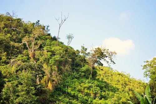 Algunas áreas que han sido dañadas se encuentran en pleno proceso de recuperación, gracias a la intervención de ambientalistas. (Foto: Archivo)
