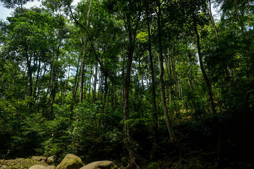 La naturaleza que lo rodea invita a relajarse. (Foto: Angel Revolorio/Colaborador)
