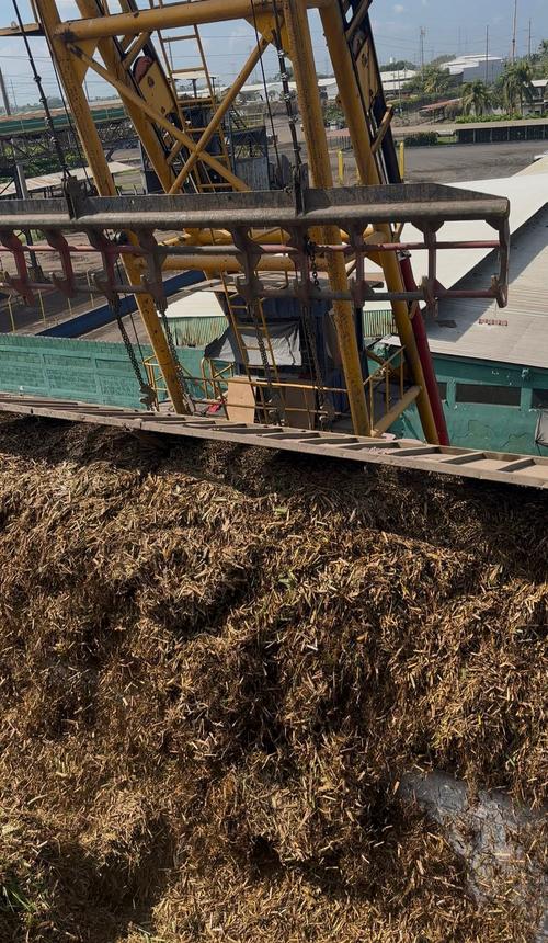 La Agroindustria de la Caña de Azúcar inició la Zafra 2025/26, una temporada clave para la economía nacional. (Foto: Guatecaña)