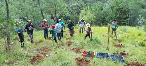 Beneficiarios del PRE enfrentan incertidumbre por falta de recursos y hasta el momento no han sido notificados sobre alguna alternativa financiera. (Foto: MAGA)