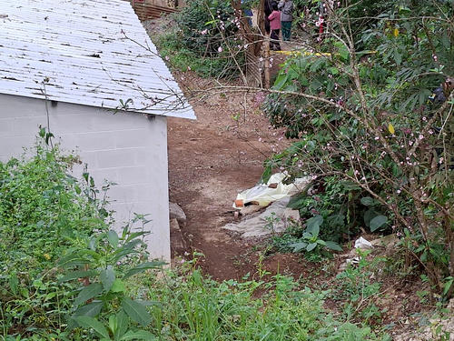 (Foto: Jorge Senté/Colaborador)