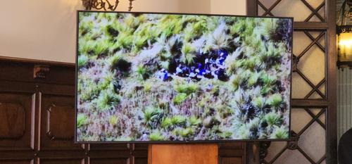 (Foto:Jorge Sente/Soy502)