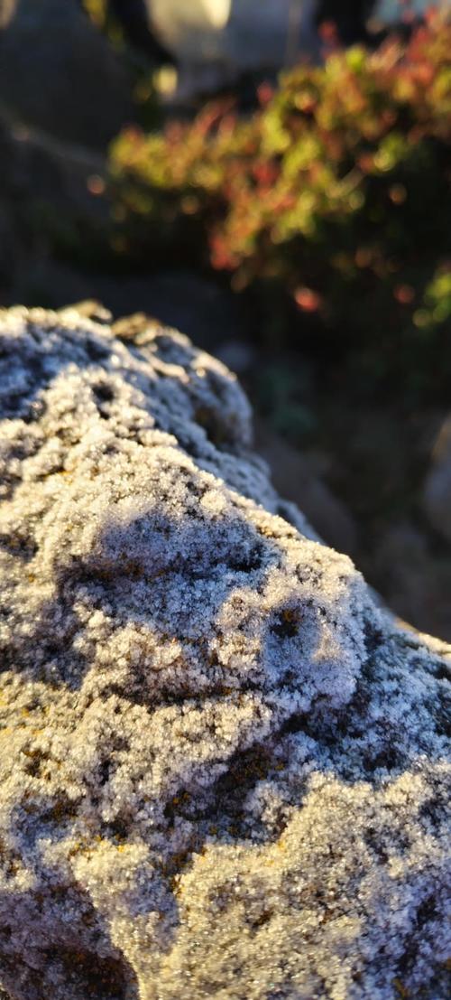 (Foto: cortesía/Jesús Rojas)