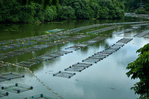 El sitio es vital para los pobladores que viven de la acuicultura. (Foto: Ángel Revolorio/Colaborador)