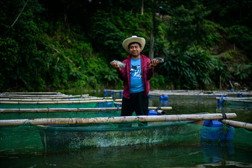 Las mojarras frescas que venden en el lugar tientan al paladar. (Foto: Ángel Revolorio/Colaborador)