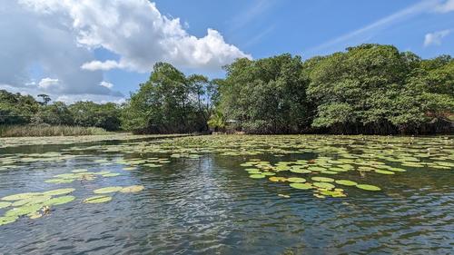Solo se puede acceder vía lancha al lugar. (Foto: Mindtrip)