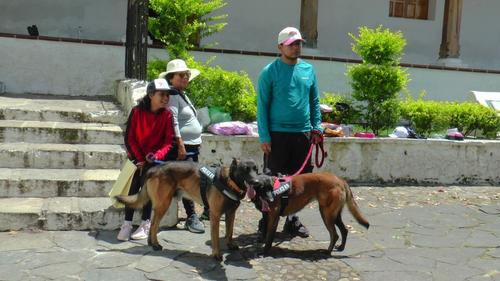 Las mascotas también sienten y merecen vivir dignamente; los propietarios siempre deben limpiar las áreas públicas que ensucien. (Foto: Servando Conoz/Colaborador)