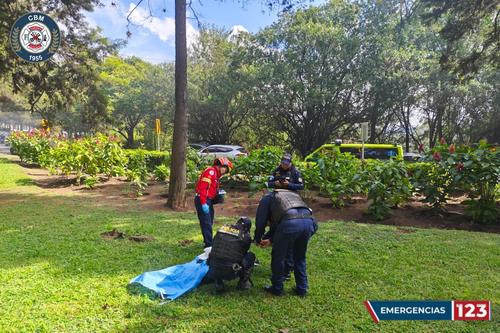 (Foto: Bomberos Municipales)