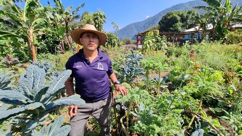 José Luis Ajcot, ha sido encargado del huerto los últimos 12 años. (Foto: Alfonso Guárquez/Colaborador)