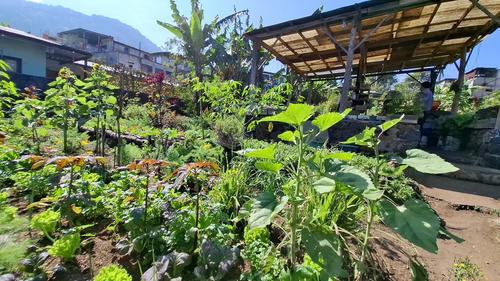 El lugar cultiva variedad de hortalizas, verduras y frutas. (Foto: Alfonso Guárquez/Colaborador)