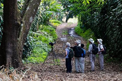 El lugar es ideal para el avistamiento de aves. (Foto: Los Tarrales Natural Reserve)
