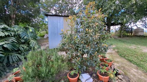 El área también opera como vivero y refugio de la vida silvestre. (Foto: Alfonso Guárquez/Colaborador)