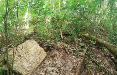Estela Real, Chochkitam, Guatemala.