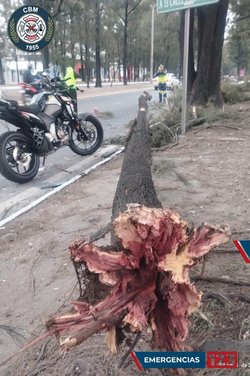 (Foto: Bomberos Municipales)