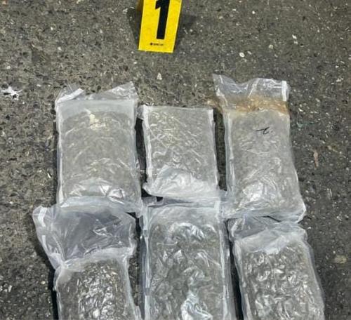 Marihuana fue localizada en el puerto de Santo Tomás de Castilla, Puerto Barrios, Izabal. (Foto: PNC)