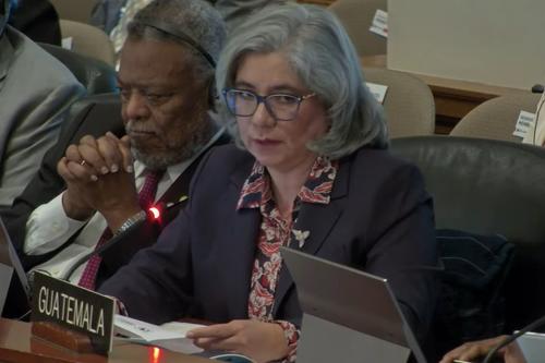 OEA Guatemala apoyo democracia, Declaración OEA orden constitucional, Respaldo OEA Bernardo Arévalo, 02