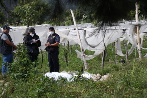 En los últimos días el cuerpo de una mujer fue encontrado en unas cosechas, en el sector Los Planes, Pastores, Sacatepéquez. (Foto: Archivo/Nuestro Diario)