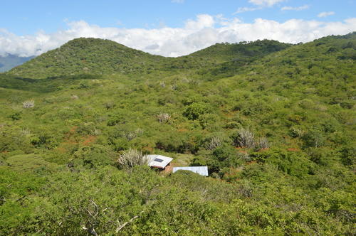 Este parque busca proteger el bosque y las especies que habitan en él. (Foto: Juan Carlos Aquino/Colaborador)