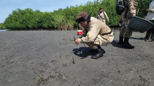 Se espera que en las próximos semanas estas candelas puedan desarrollarse. (Foto: Marvin Pos/Colaborador)