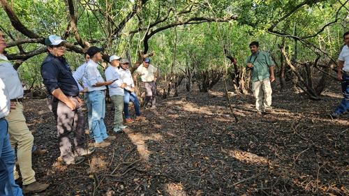 El INAB coordina estos esfuerzos que son apoyados por la población. (Foto: Marvin Pos/Colaborador)