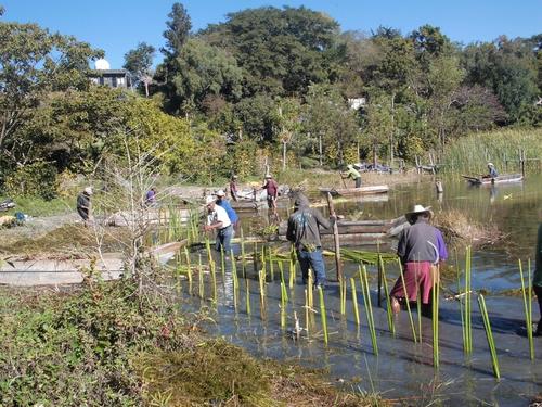 La herramienta digital permitirá identificar zonas con presencia de Tul. (Foto: Alfonso Guárquez/Colaborador)