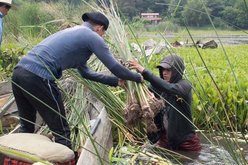 La información recopilada servirá para planificar estrategias de recuperación ambiental. (Foto: Alfonso Guárquez/Colaborador)