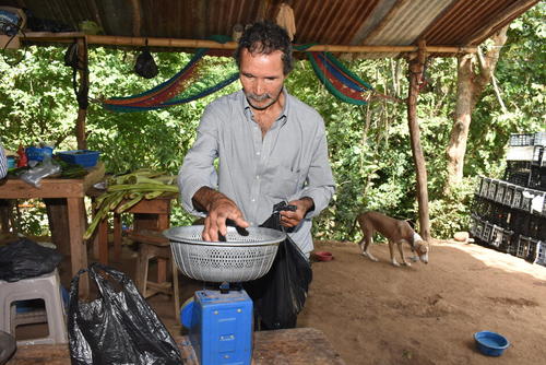 Don Manuel empieza con el proceso de preparar las uvas para ser comercializadas. (Foto. Wilder López/Colaborador)