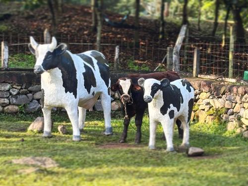 Cueva de las Minas y Girasoles: Qué Visitar en Esquipulas, Chiquimula (Foto: Cortesía/Parque Ecológico Cueva de las Minas)