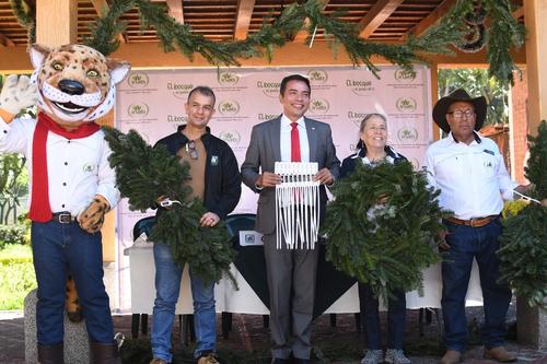 El Inab y el Conap, junto a las entidades que conforman el Consejo Coordinador de la Estrategia Nacional para la Conservación del Pinabete, dieron inicio a la Navidad con las ferias del pinabete. (Foto: Sandra Sebastián/Colaborador)