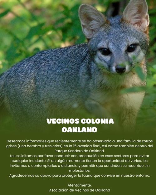 Vecinos le solicita a la población tener precaución. (Foto: Oakland Vecinos/Facebook)