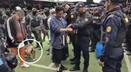 Mientras uniformados cuentan a los presos, uno de ellos intenta controlar a su mascota, un perro de raza pitbull. (Imagen: captura de pantalla)