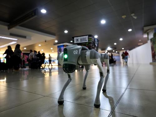 Con SAICA se pretende captar la atención de los pasajeros y recordar a los viajeros sobre la importancia del patrimonio agropecuario de Guatemala (Foto: Dirección General de Aeronáutica Civil (DGAC)