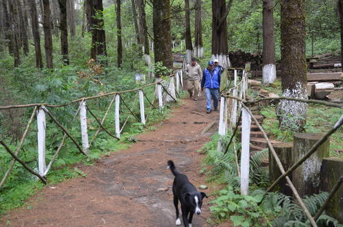 Los senderos pueden ser recorridos con sus mascotas.