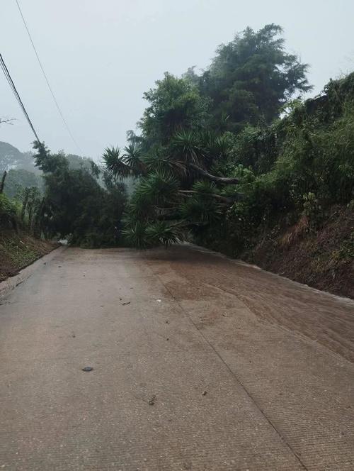 Un derrumbe obstaculiza el paso vehicular hacia El Hato, Fraijanes. (Foto: Meteorología GT)