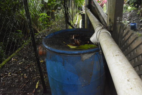 Se pueden colocar filtros para evitar que el agua de lluvia lleve basura. (Foto: Manuel Peralta/Colaborador)