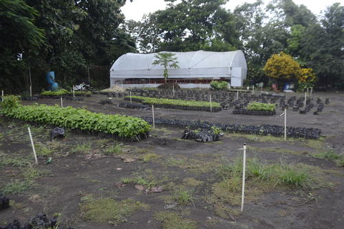 El aprovechamiento de agua de lluvia reduce el uso de agua potable en el sistema de riego. (Foto: Manuel Peralta/Colaborador)