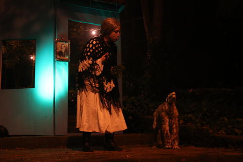 La señora tenía curiosidad de ver a qué le ladraban los perros en la noche. (Foto: cortesía El Duende del Ático)