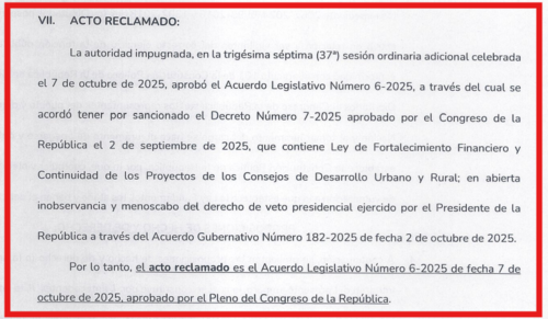 Extracto del amparo presentado por diputados de Raíces.