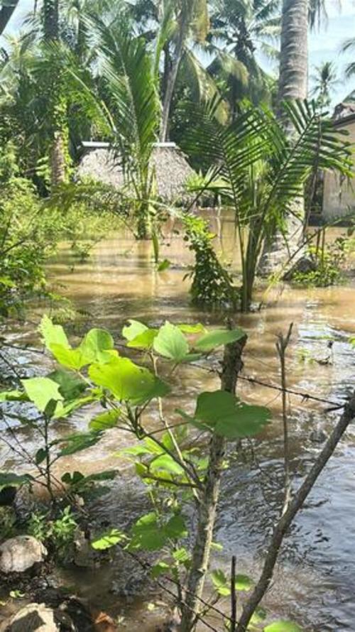 San José, Escuintla, por el desbordamiento del río Achiguate, se registró inundación en la comunidad Campamento La Barrita. (Foto: Conred)