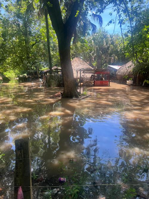 Los suelos han sido saturados de agua tras las lluvias. (Foto: Conred)