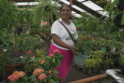 La jardinería también será evaluada en este proceso de certificación de conocimientos y competencias. (Foto: Ángel Revolorio/Colaborador)