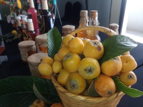 Con 120 puestos, música y tradiciones, el Festival del Níspero impulsa a 500 familias y fortalece el turismo en La Antigua Guatemala. (Foto: Carlos Vicente /Colaborador)