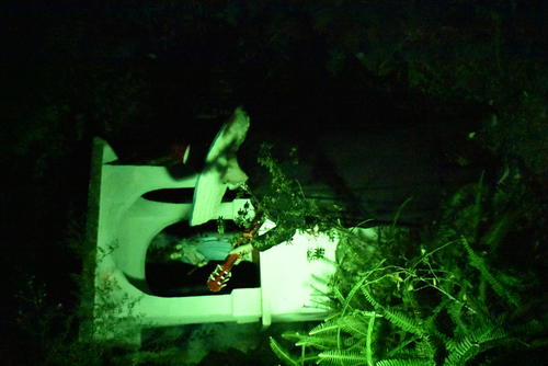 Entre relatos y misterio, don Gumercindo Herrera compartió la magia del Sombrerón, símbolo del folclore quichelense. (Foto: Bernardo Montúfar/Colaborador)