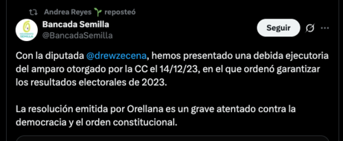 Pronunciamiento de los diputados electos por el Movimiento Semilla en X. (Foto: captura de pantalla/Soy502)